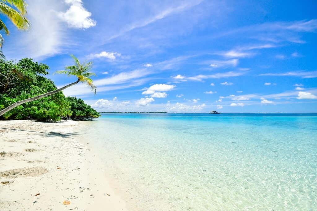 Sonhar com praia