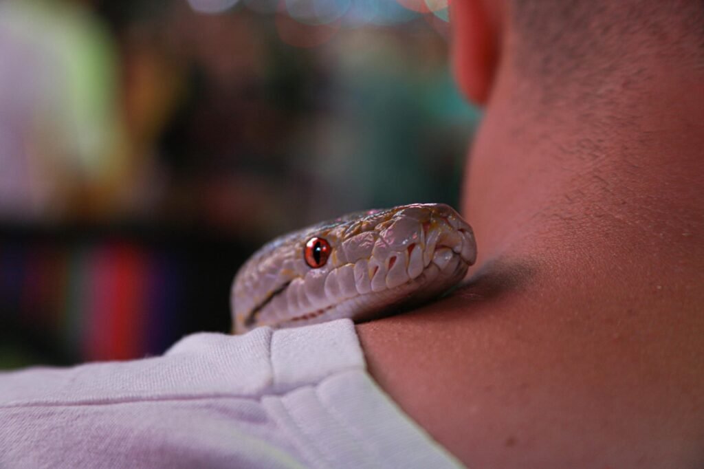 Sonhar com cobra atacando